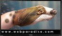 Handbemalungen, handbemalung, bemalung von Hnden und Fen, Handbodypainting, handbodypaint, handbodypaintings, handbodypaints, art on hands